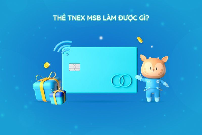 Thẻ TNEX MSB làm được gì?
